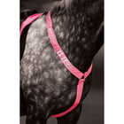 Equi-Flector by Shires Pièce de Poitrail Réfléchissant Fluor Rose