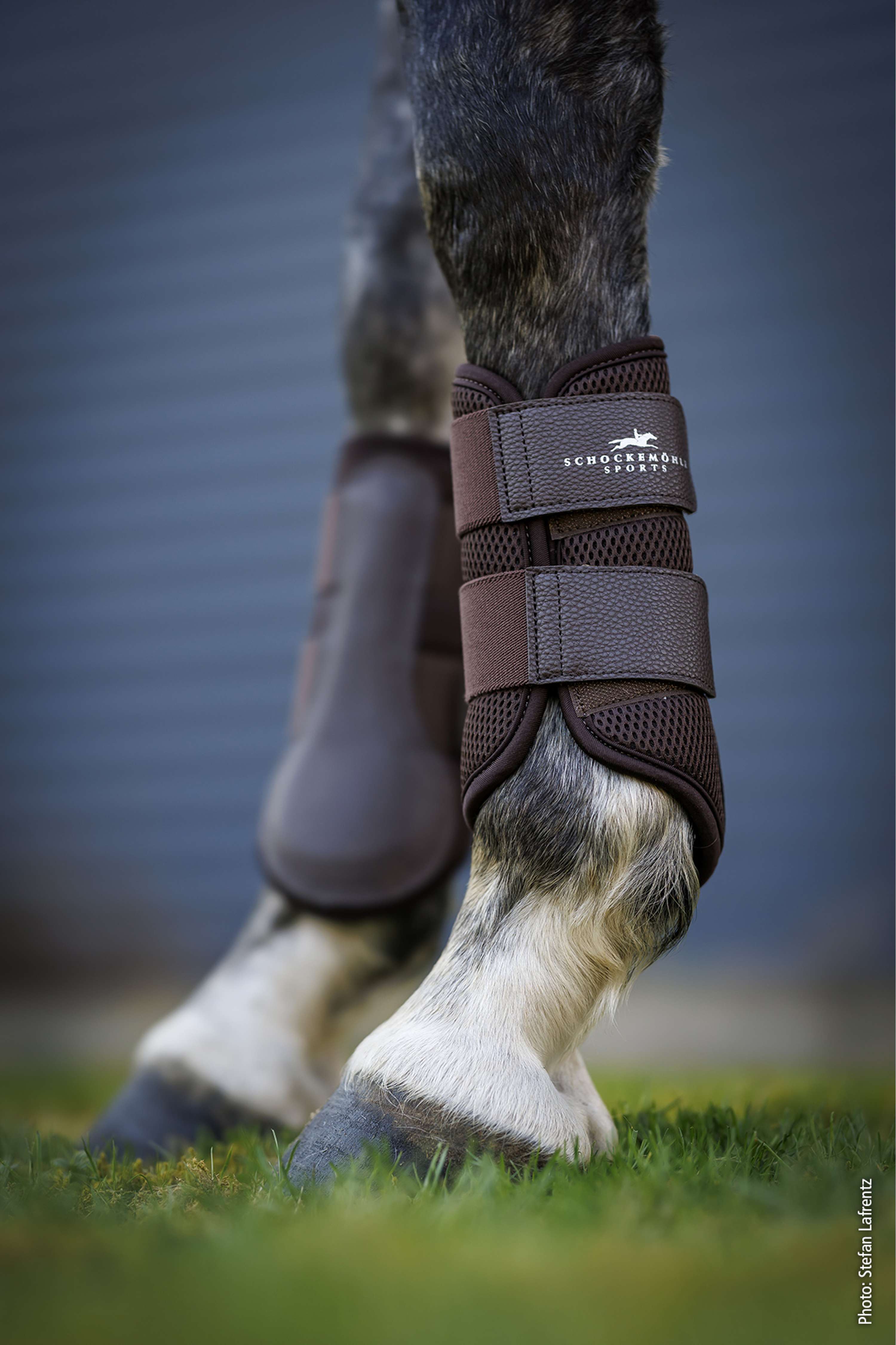 Schockemöhle Guêtres Mesh Guards Mocca