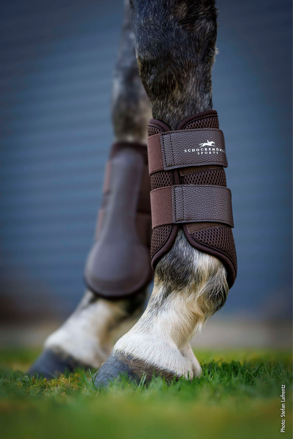 Schockemöhle Guêtres Mesh Guards Mocca