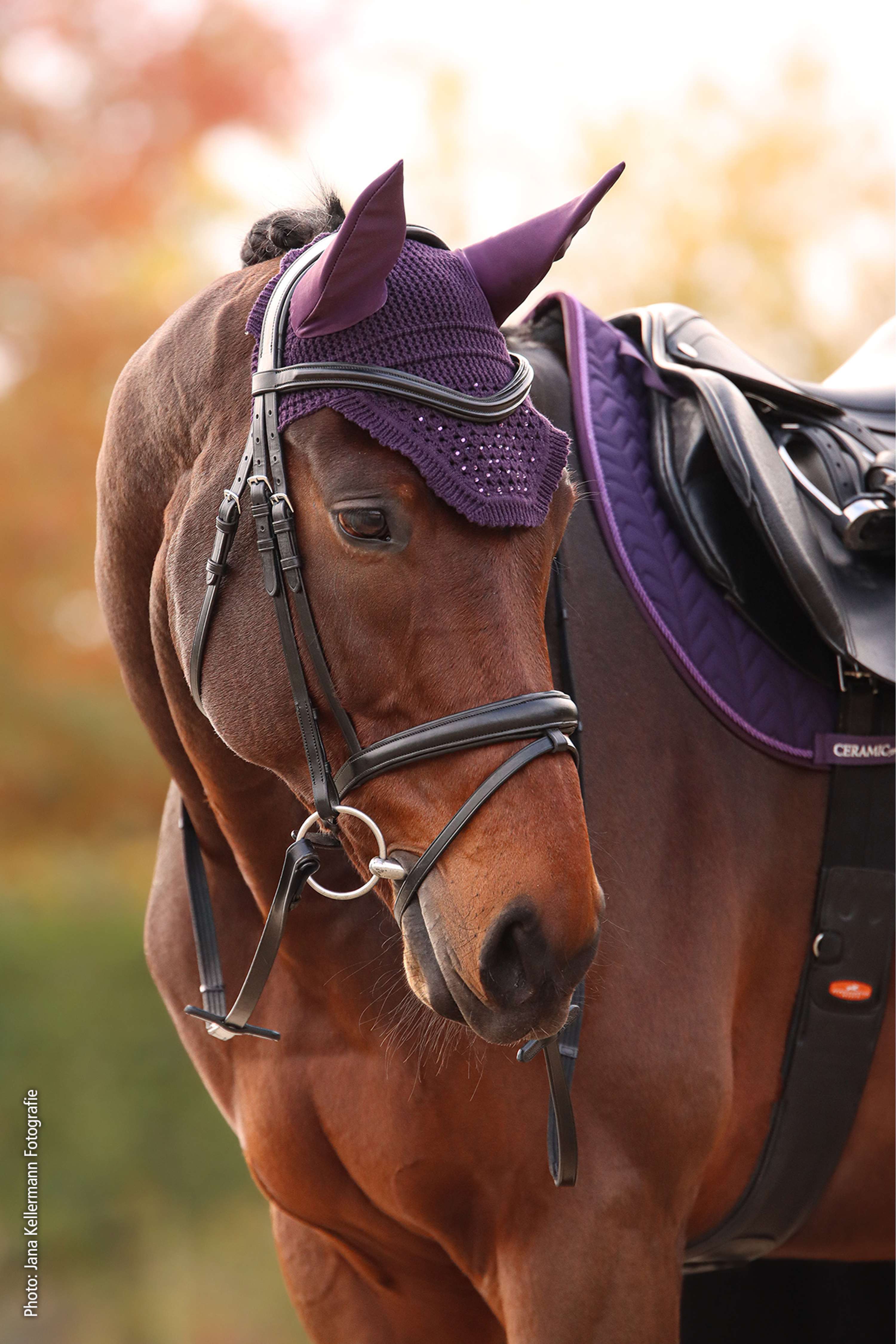 Schockemöhle Bonnet Anti-Mouches Elegant Spark Violet Foncé