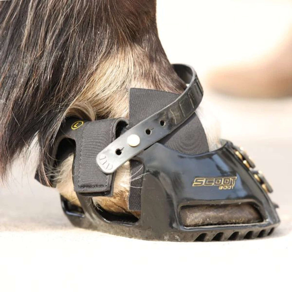 Scoot Boot Hybrid Gaiter Noir