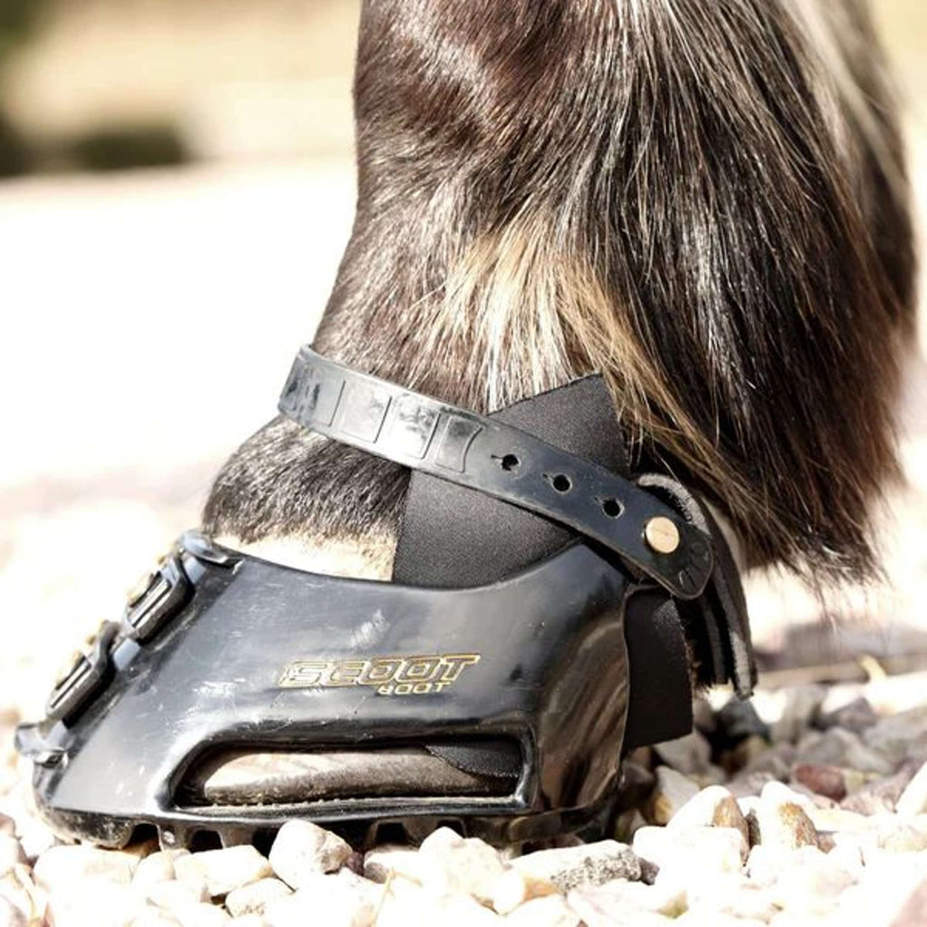 Scoot Boot Hybrid Gaiter Noir