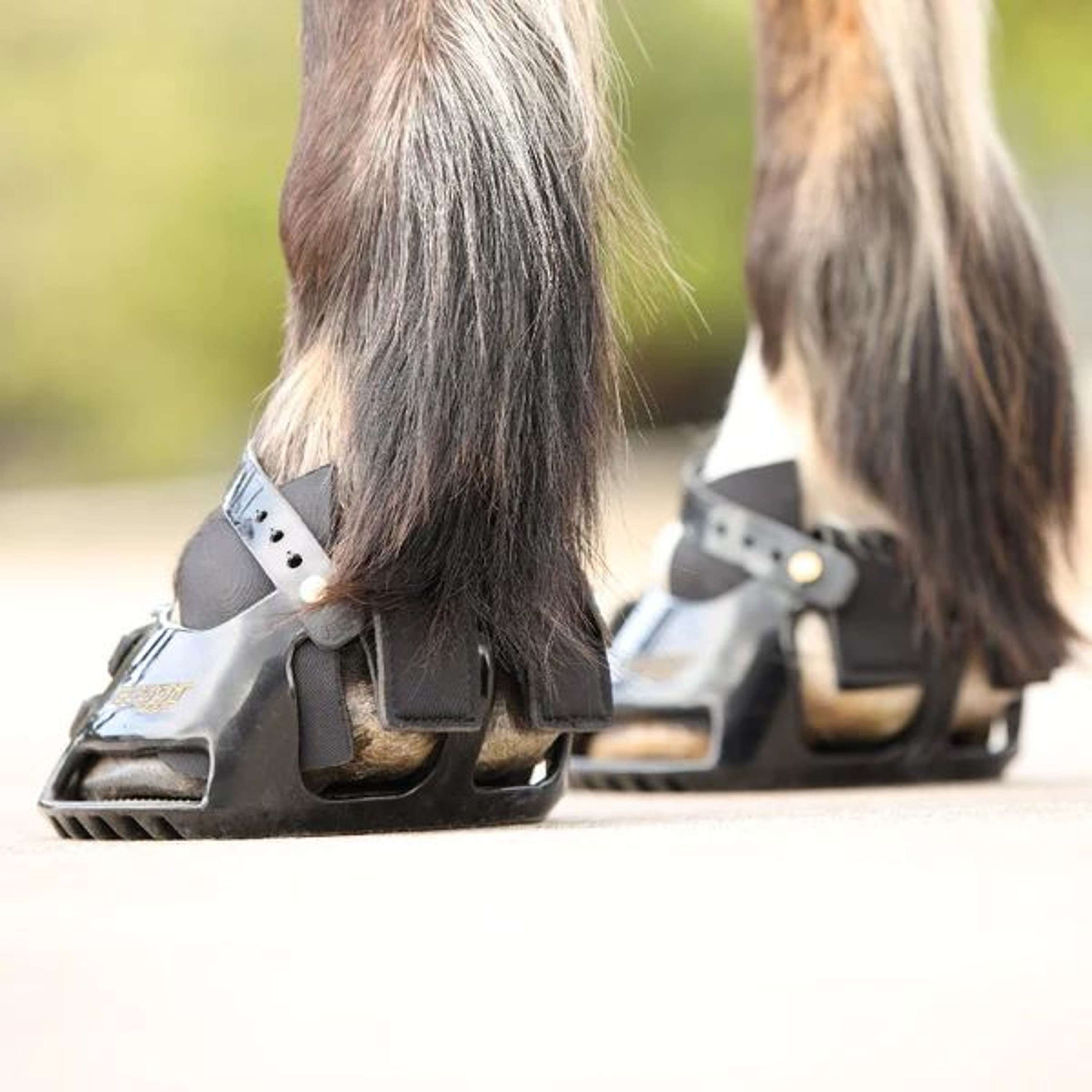 Scoot Boots Hybrid Gaiter Noir