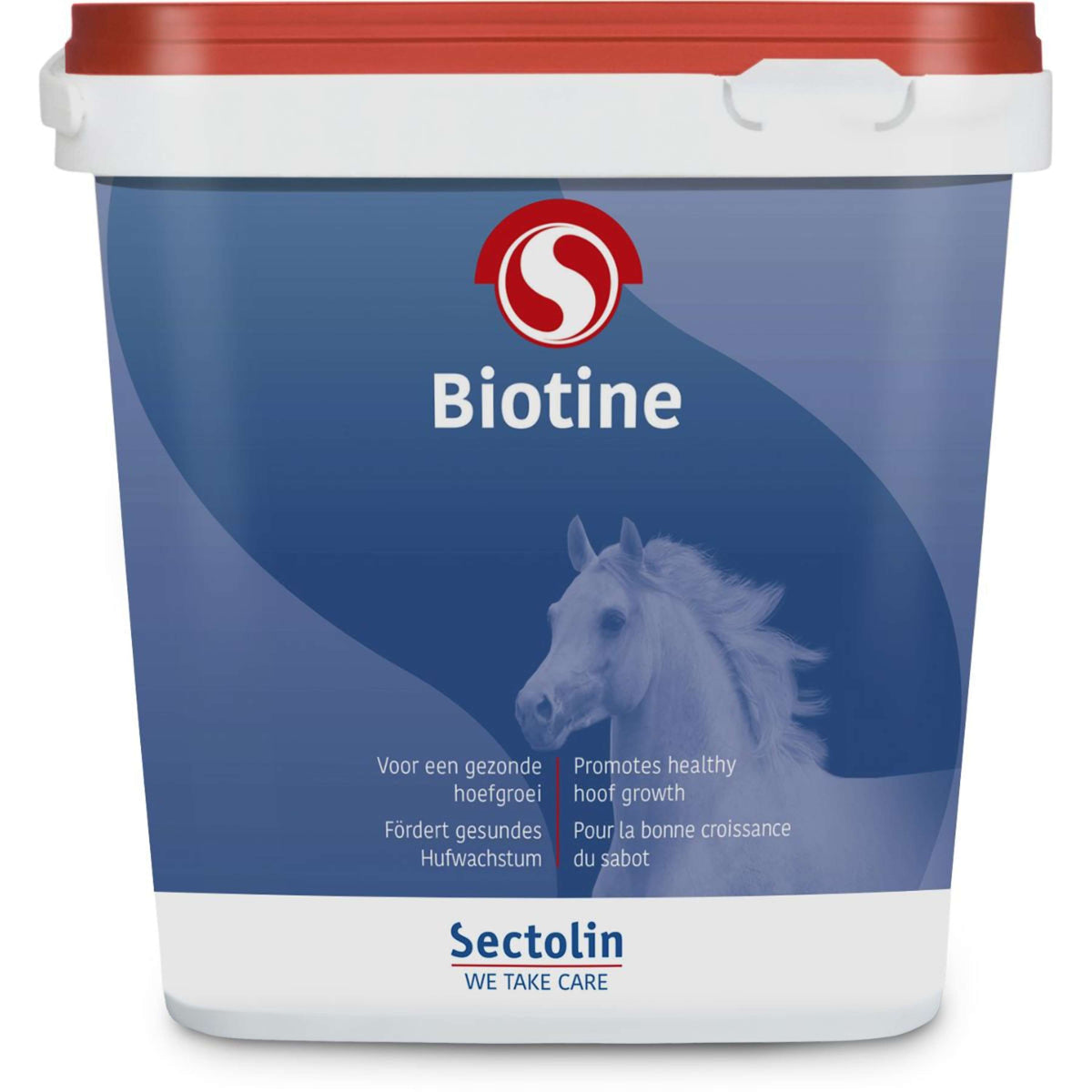 Sectolin Biotine