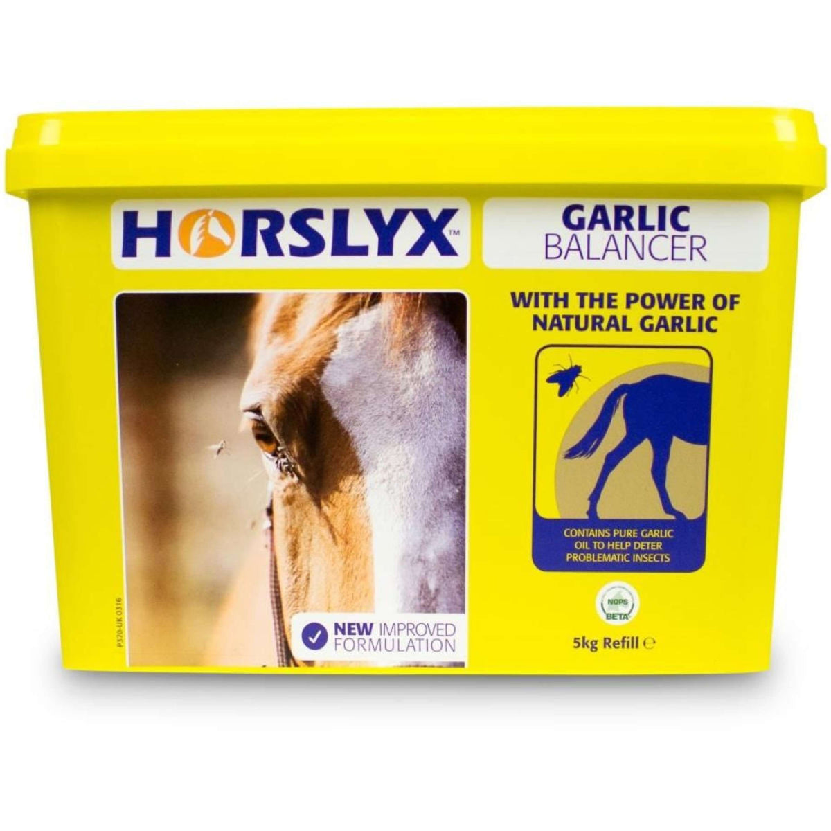 Horslyx Pierre à Lécher Garlic