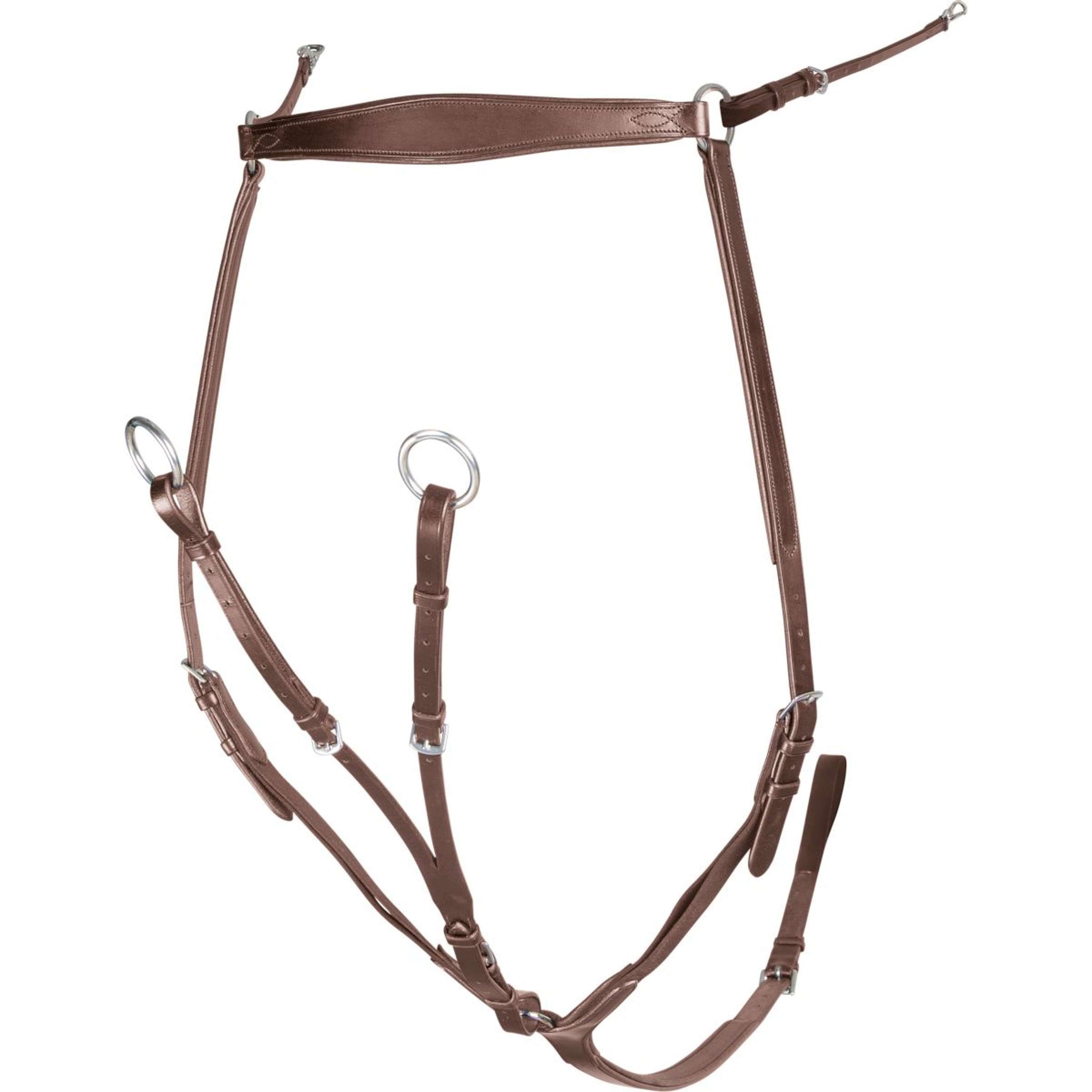 Velociti Collier de Chasse Havane