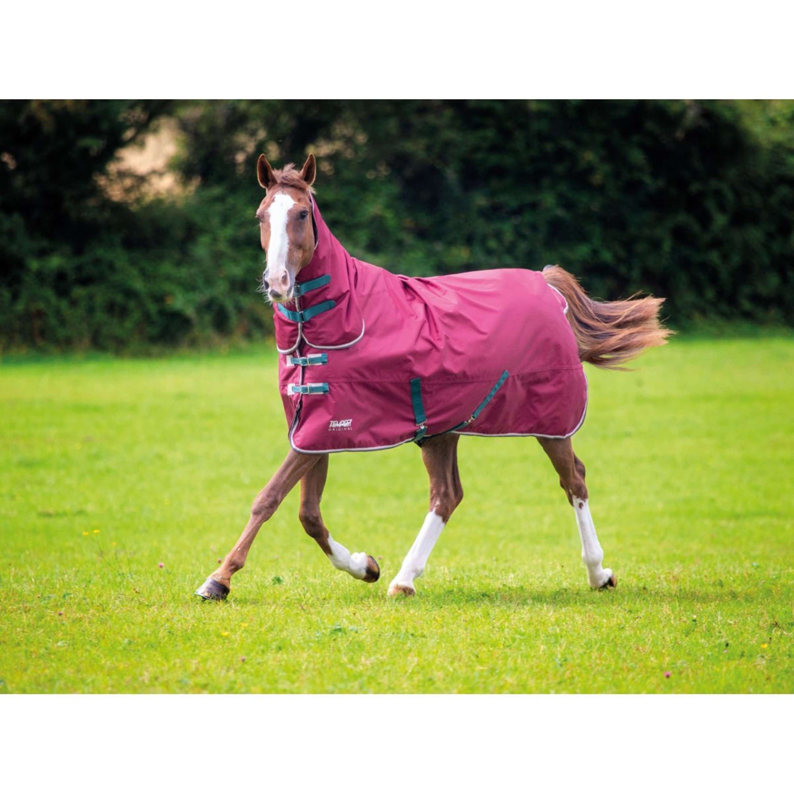 Tempest Original Turnout Combo Rug 200g Maroon