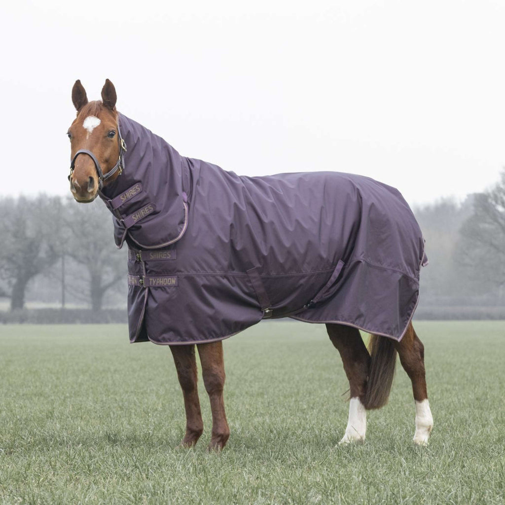 Tempest by Shires Couverture d'Hiver Turnout Typhoon 100g Black Cherry