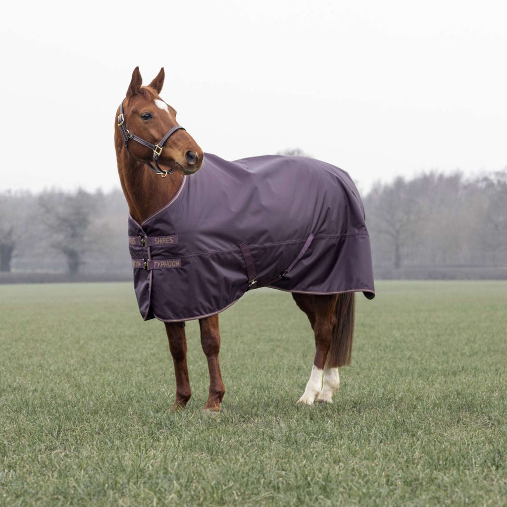 Tempest by Shires Couverture d'Hiver Turnout Typhoon 100g Black Cherry