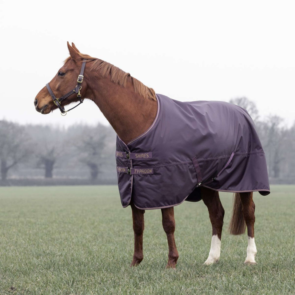 Tempest by Shires Couverture d'Hiver Turnout Typhoon 100g Black Cherry