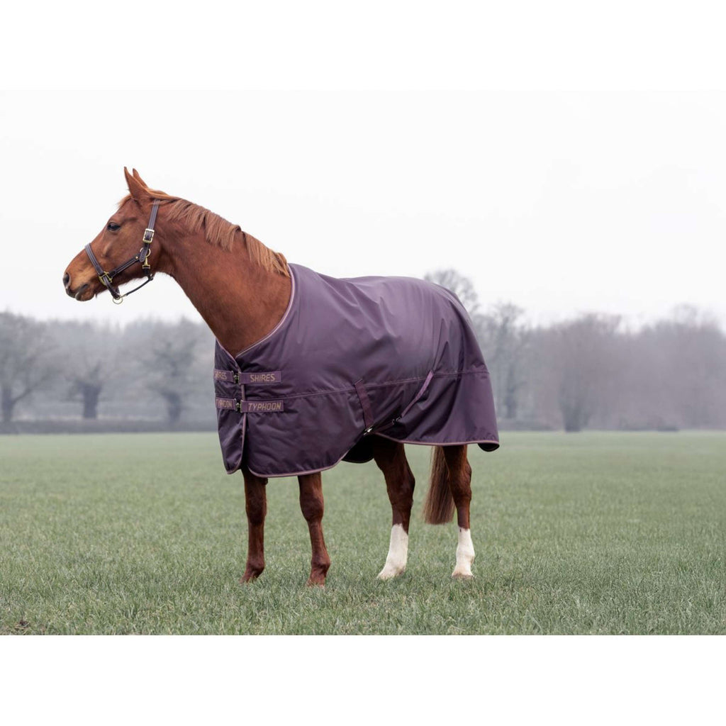 Tempest by Shires Couverture d'Hiver Turnout Typhoon 100g Black Cherry