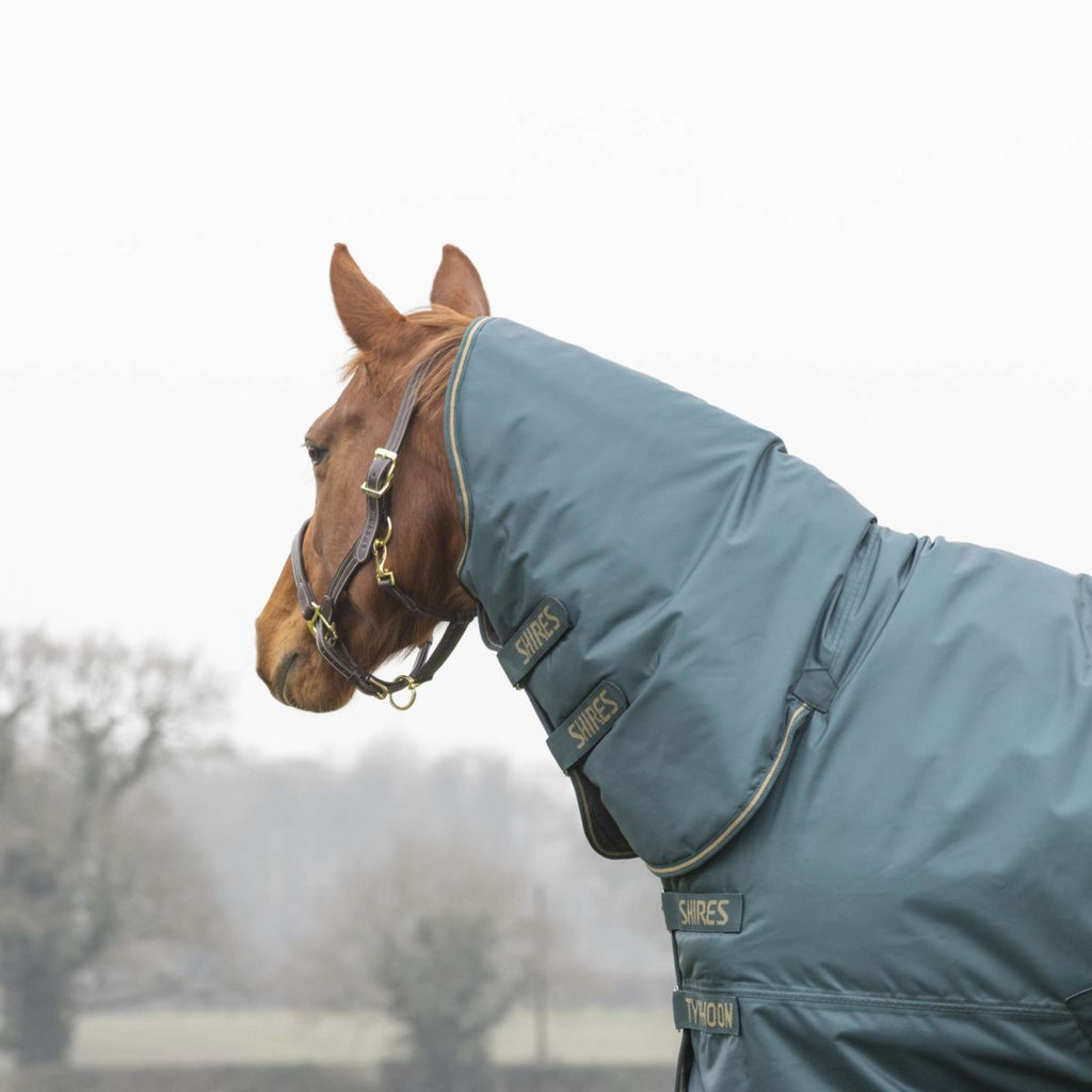 Tempest by Shires Couverture d'Hiver Turnout Typhoon Combo 200g Vert