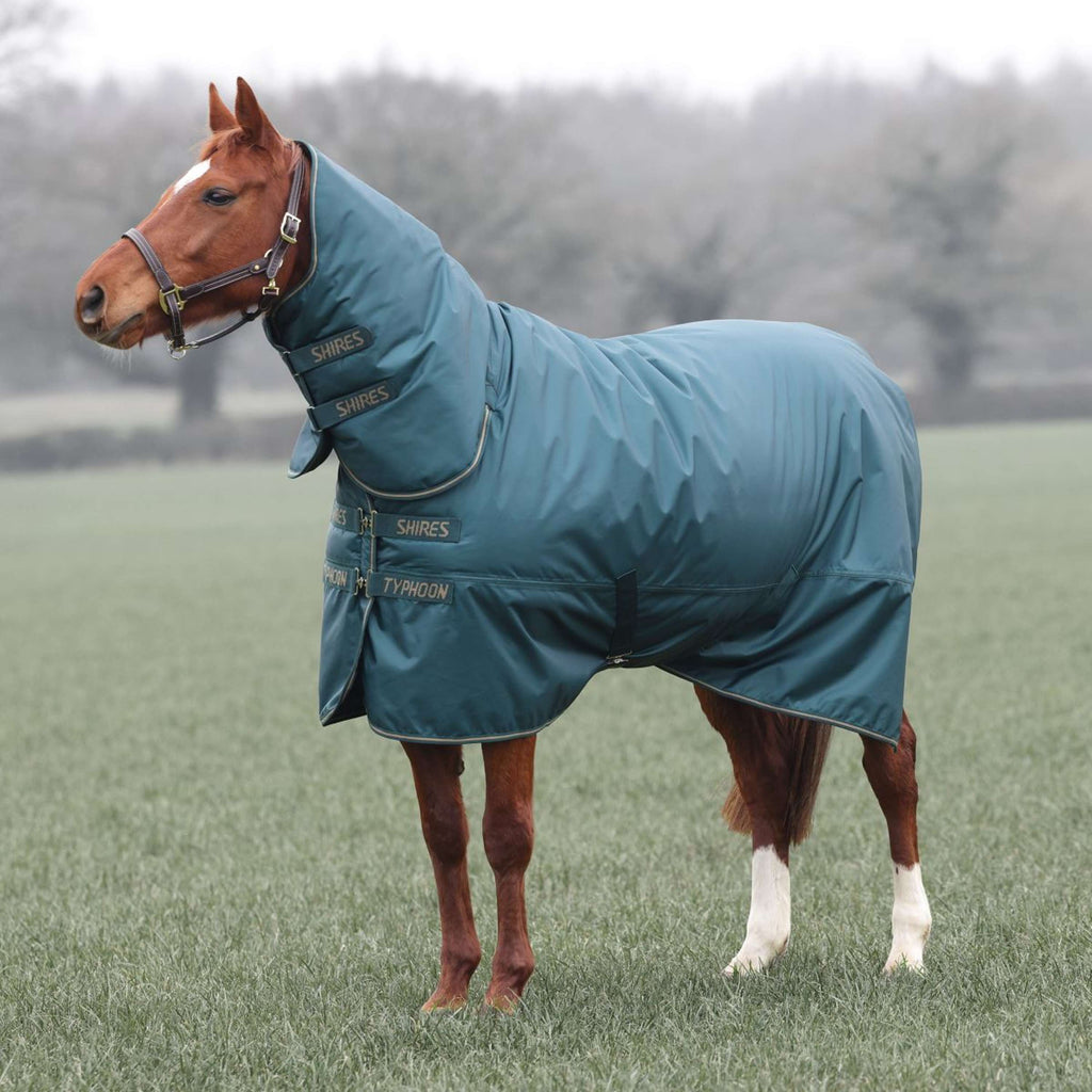 Tempest by Shires Couverture d'Hiver Turnout Typhoon Combo 200g Vert