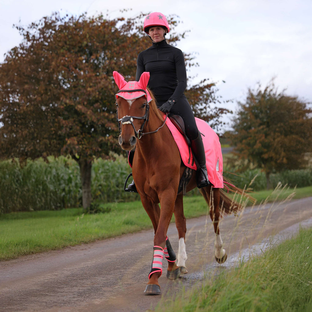 Shires Equi-Flector Rose