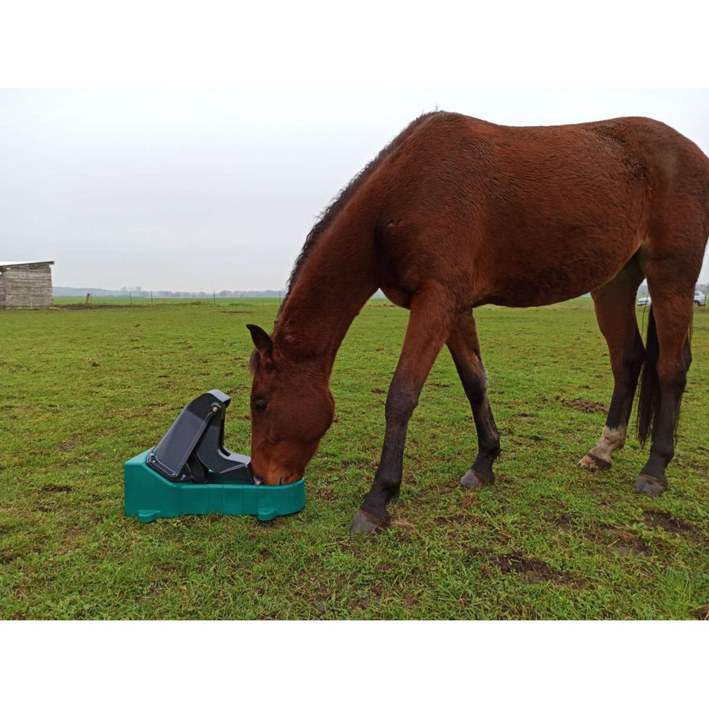 Suevia Pompe de Prairie Membraam Model 547 Support