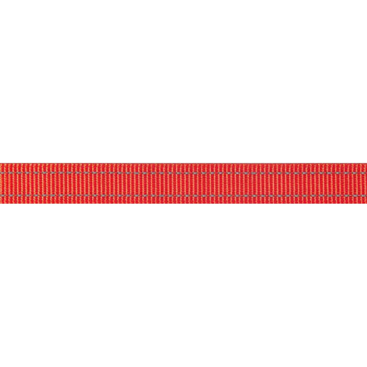 Rogz Fanbelt Laisse Orange XL 1,8m