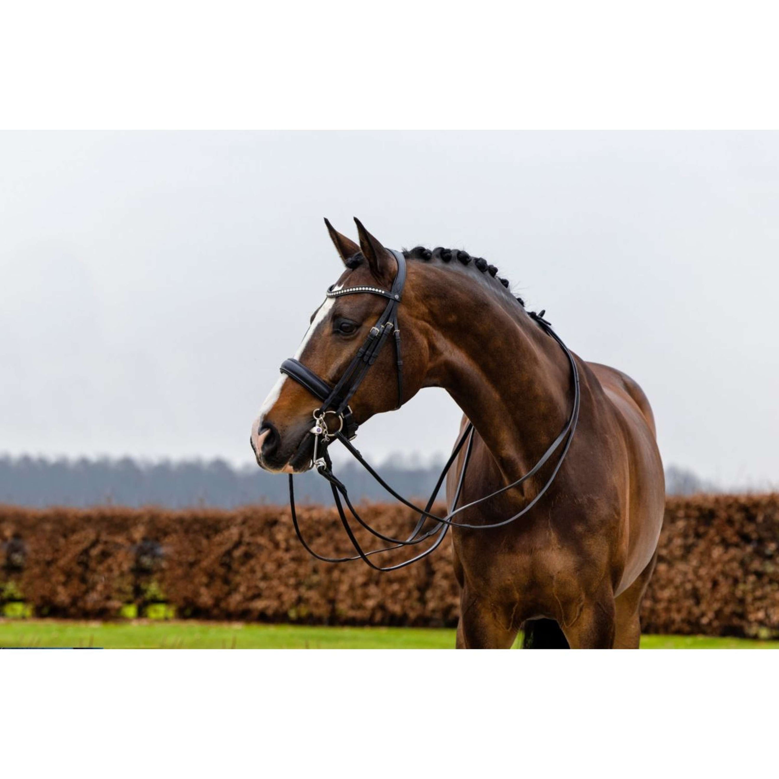 Trust Bride Wellington Noir/Argent