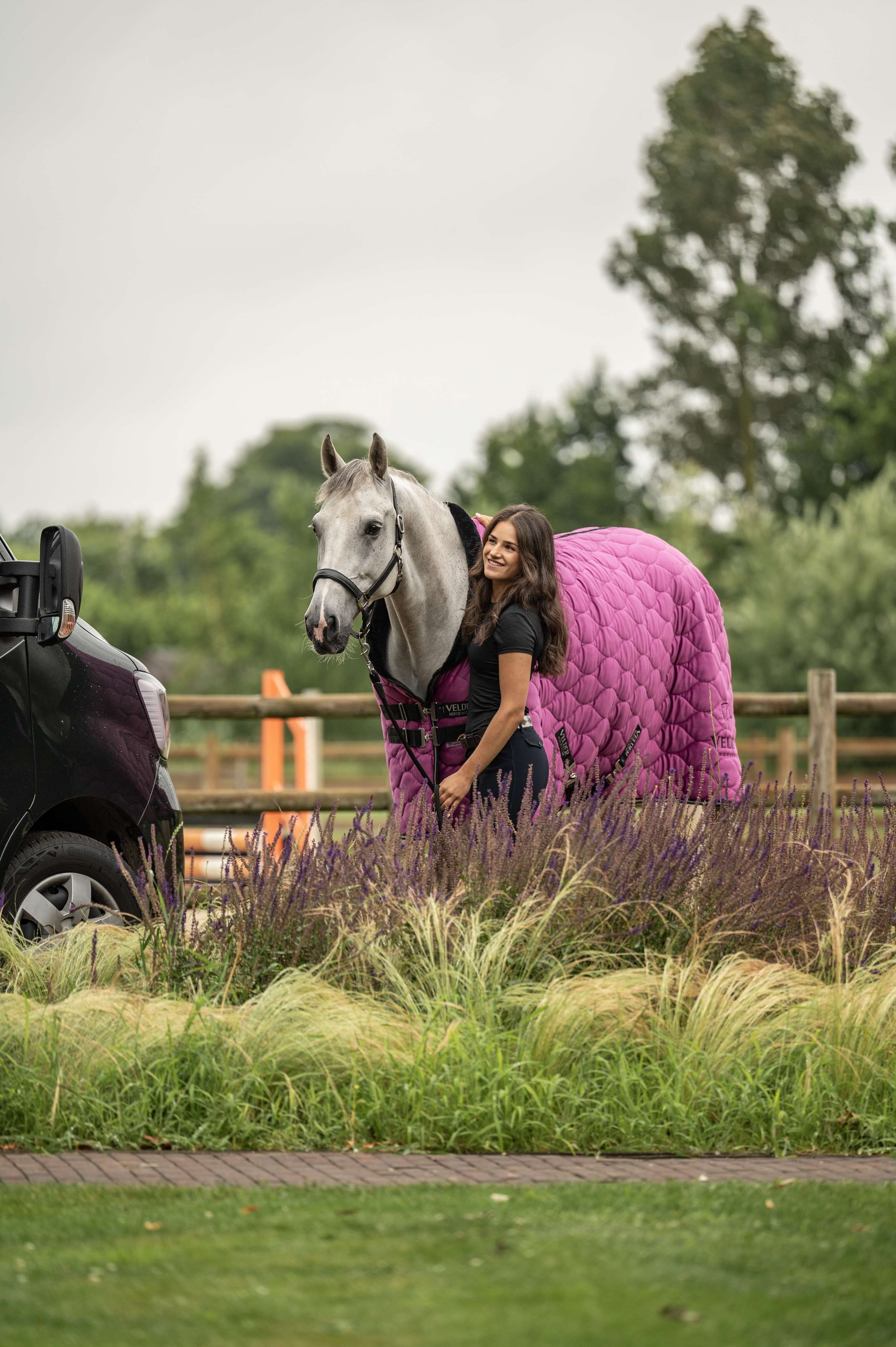 Velder Horsewear Premium Couverture de Concours Satin Glow Dutch Raspberry