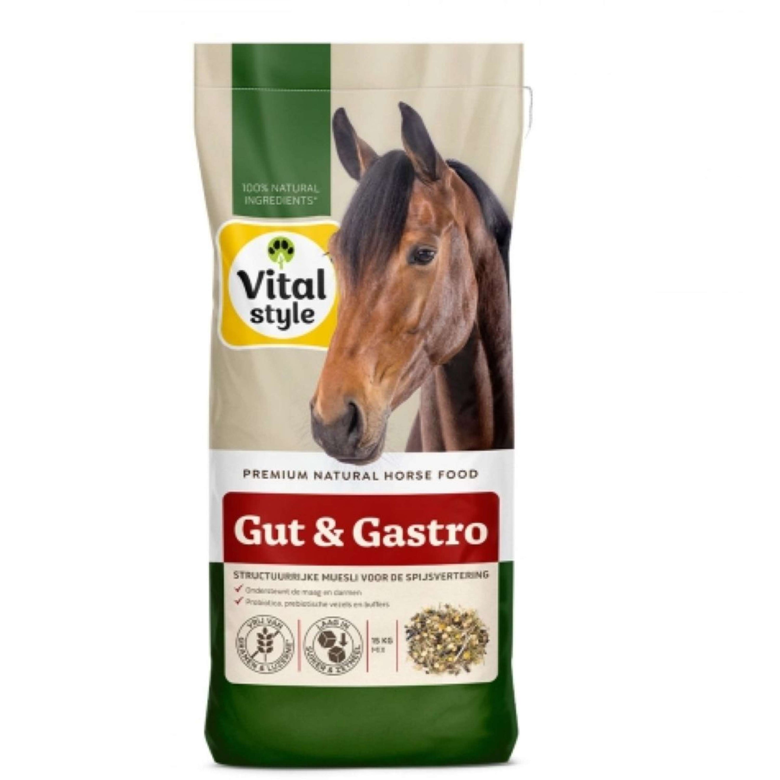 Vitalstyle Muesli Gut & Gastro
