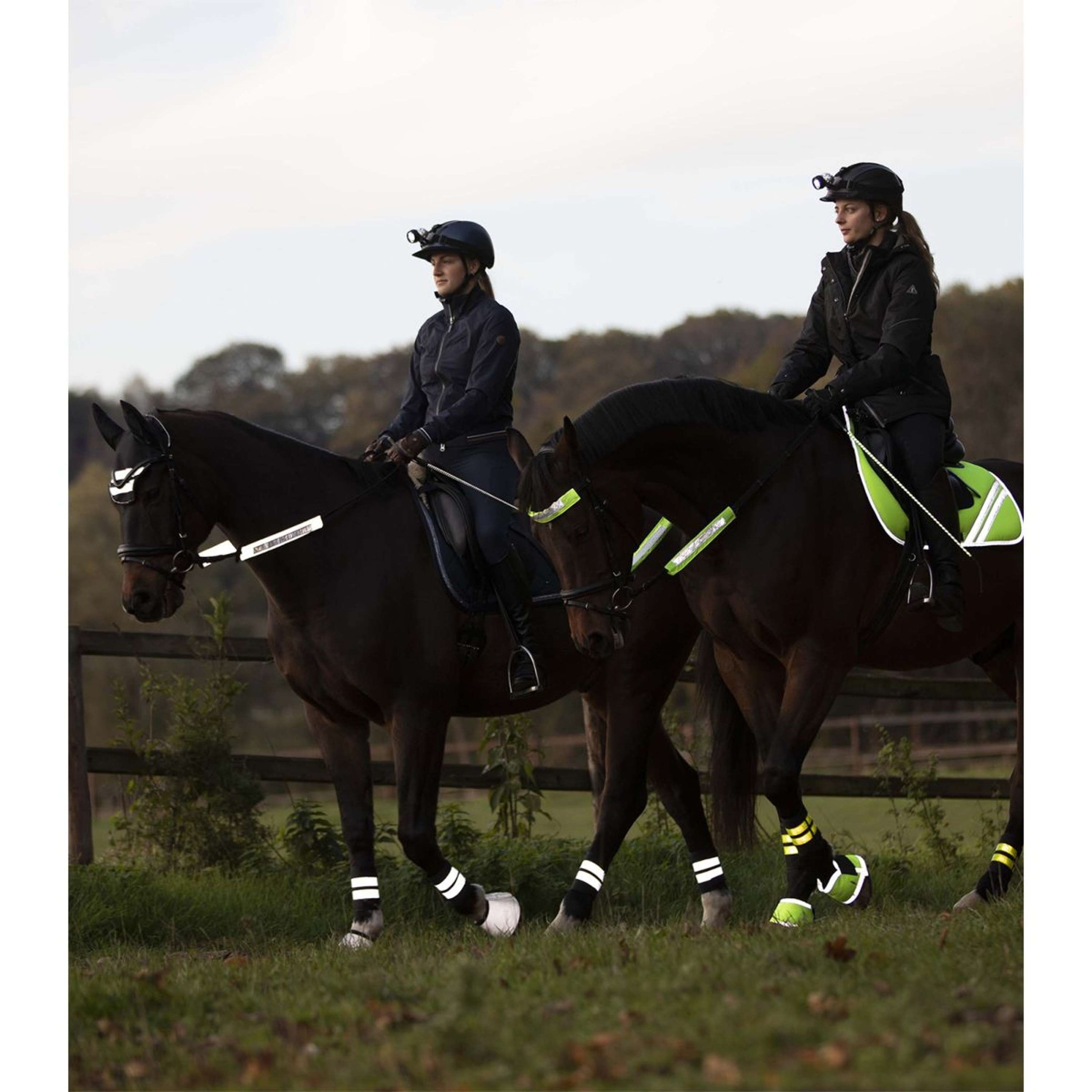 Waldhausen Set pour Bride Reflex 3 Pièces Néon Jaune Waldhausen Set pour Bride Reflex 3 Pièces Néon Jaune