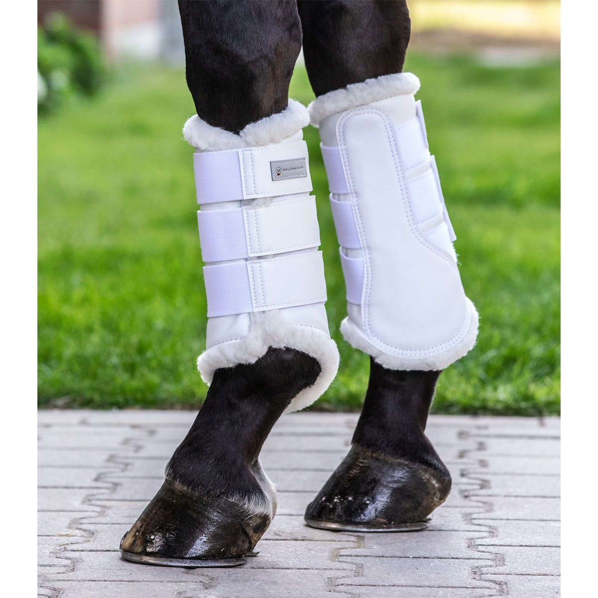 Waldhausen Guêtres Soft Dressage Blanc