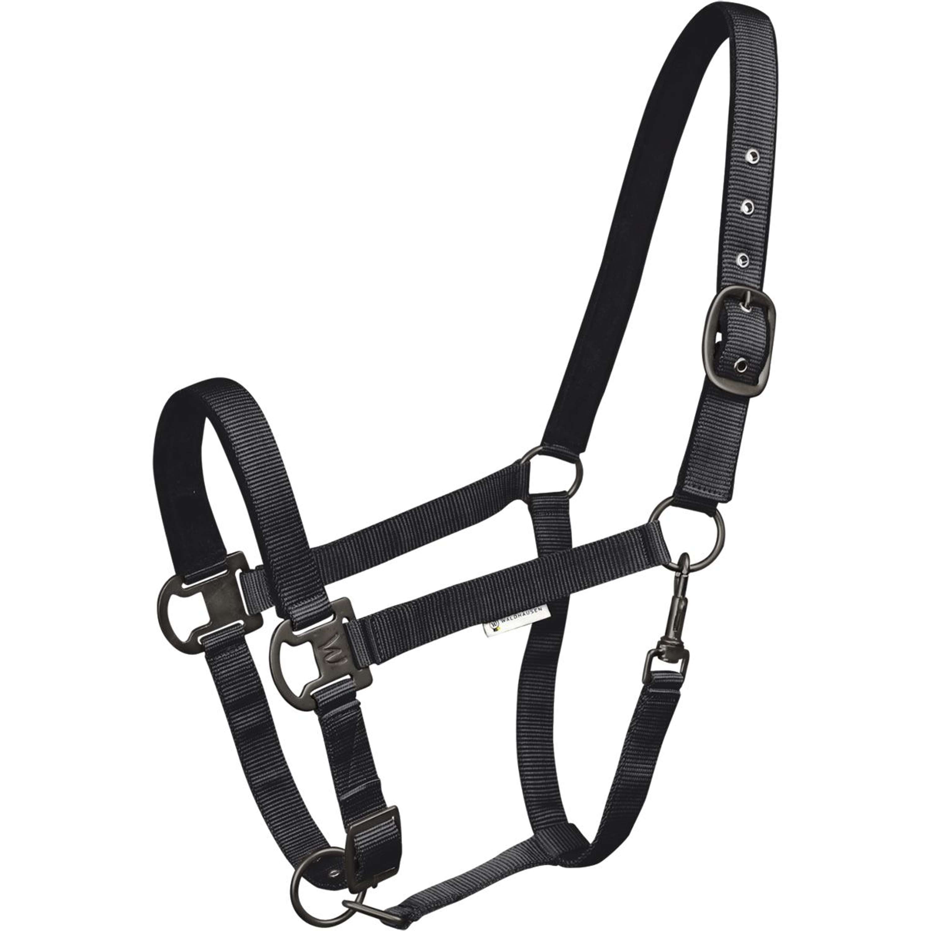Waldhausen Masque Anti-Mouches Premium Avec Licol » Couleur: noir, Taille: Shetland Waldhausen Masque Anti-Mouches Premium Avec Licol » Couleur: noir, Taille: Shetland