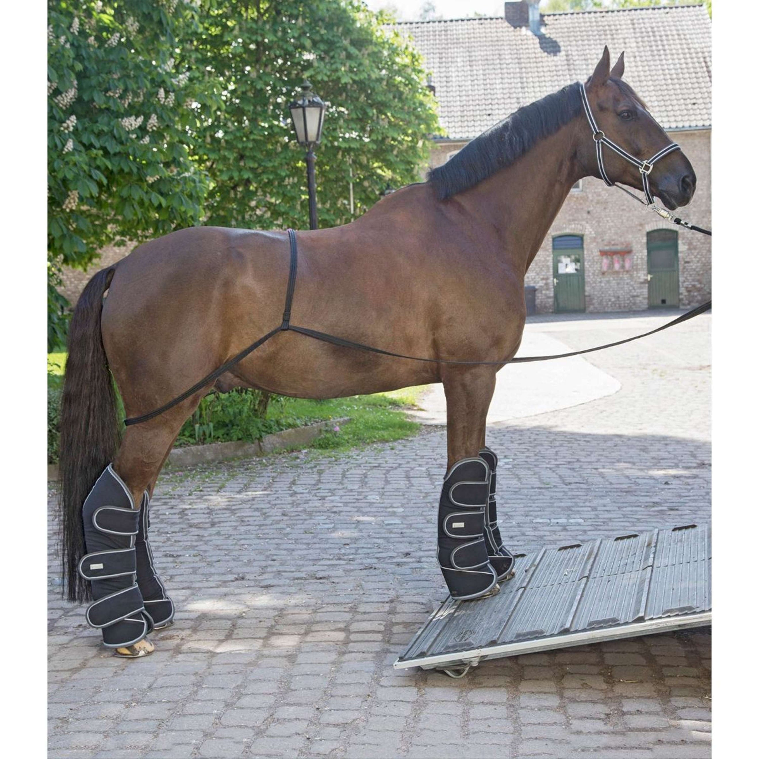 Waldhausen Longe d'Attache pour Van pour Charger Waldhausen Longe d'Attache pour Van pour Charger