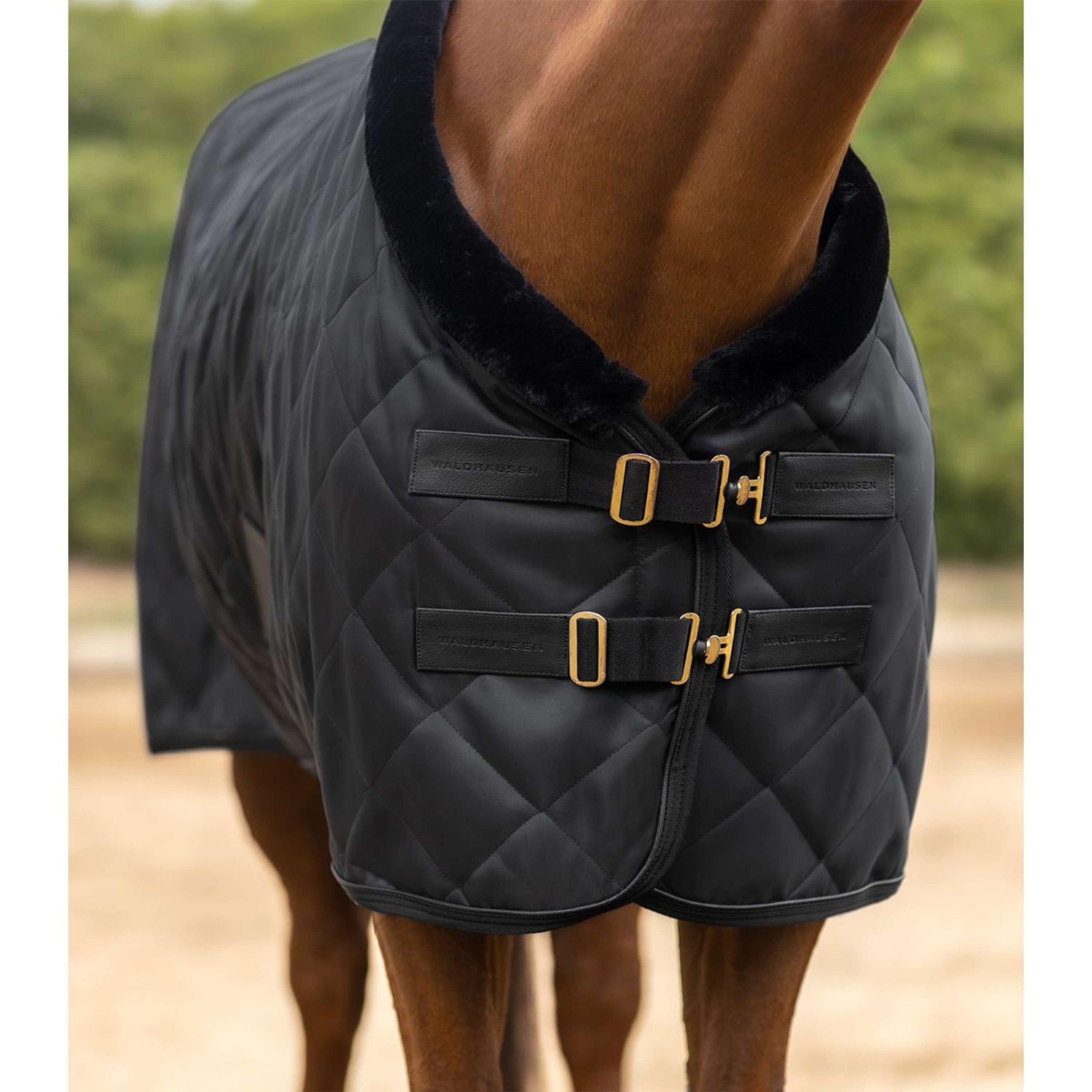 Waldhausen Couverture Transport Exclusive Noir Waldhausen Couverture Transport Exclusive Noir