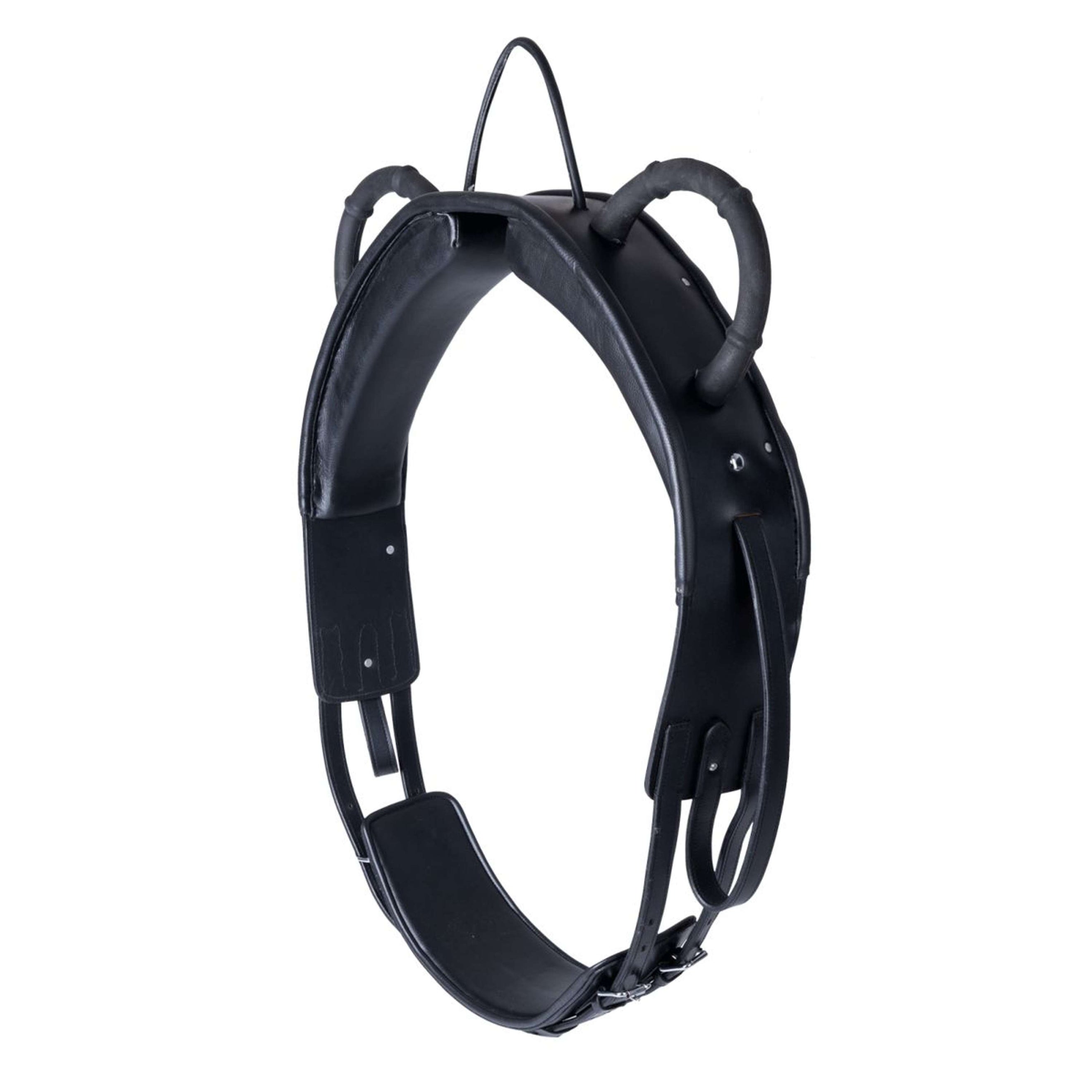 Waldhausen Surfaix de Voltige Training Noir