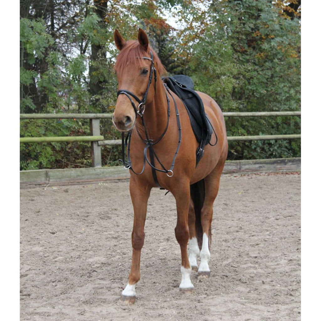 Star Martingale Noir