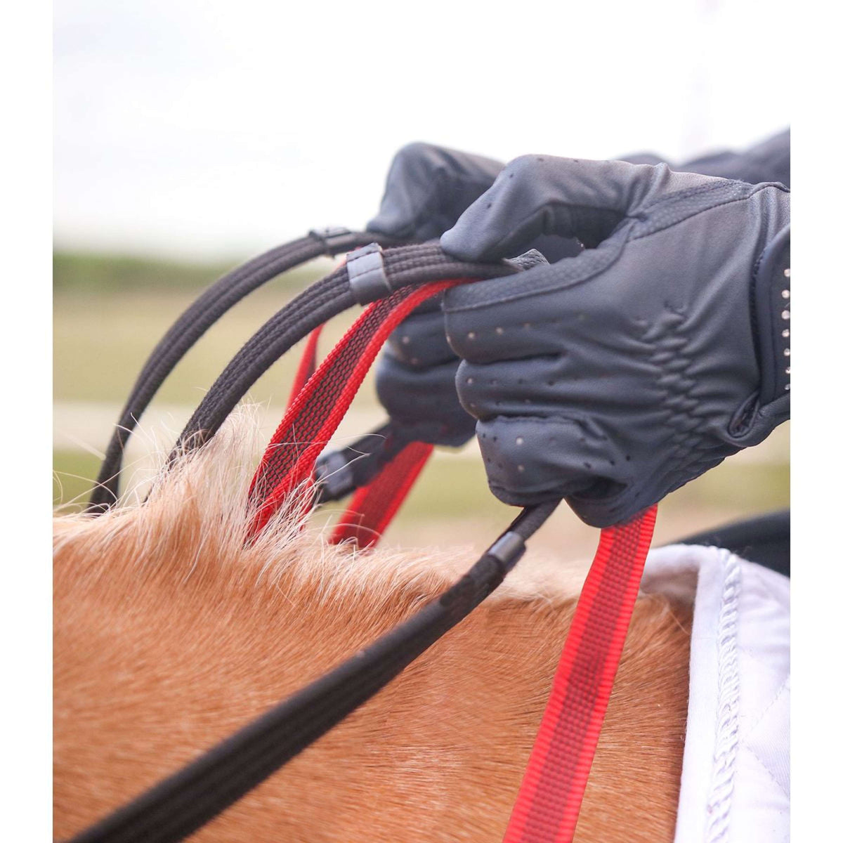 Waldhausen Collier de Chasse Secutrust avec Rêne de Sécurité Noir