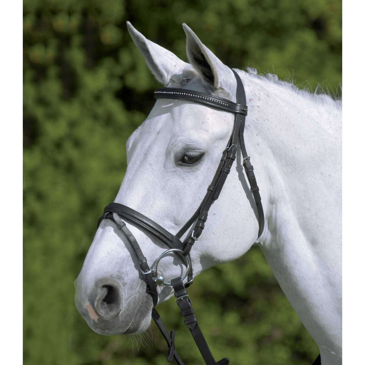 Star Bridon Diamond Anglais Combiné Noir