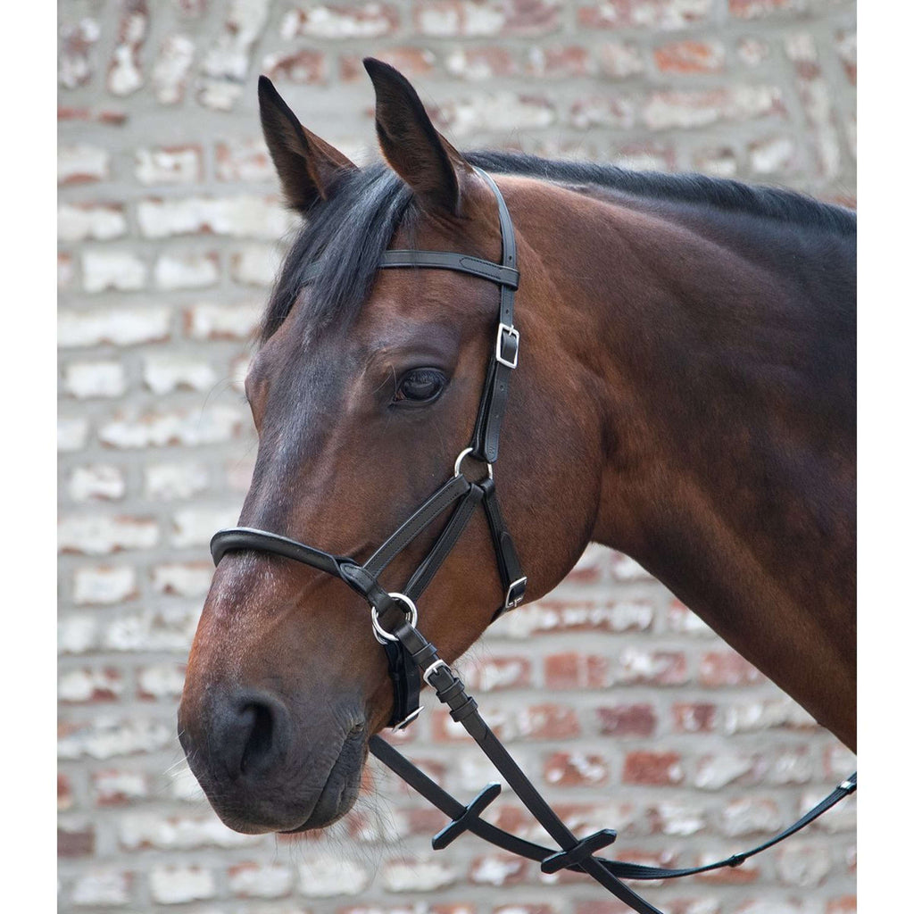 Bride De Cheval épi Anglais Waldhausen – Deux Tons Marron Avec Strass Et Rênes Incluses