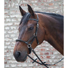 Waldhausen Bridon sans Mors Linda Tellington Jones Noir