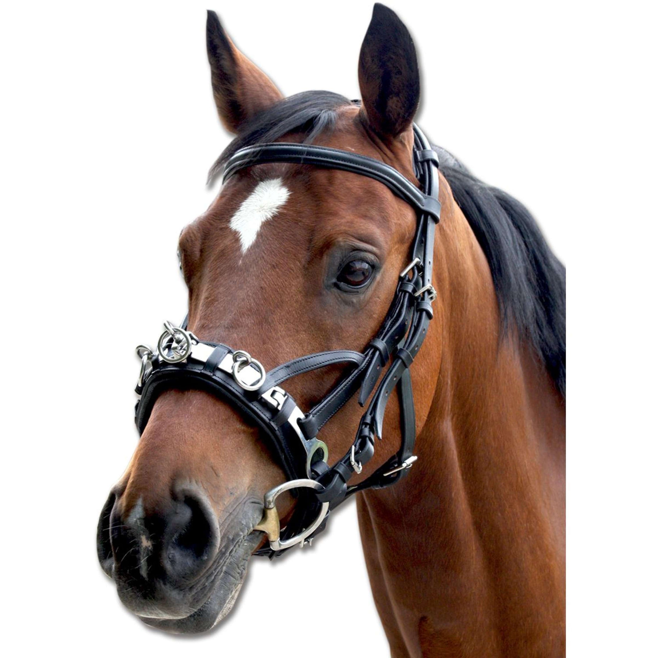 Waldhausen Bridon Caveçon Cuir Waldhausen Bridon Caveçon Cuir