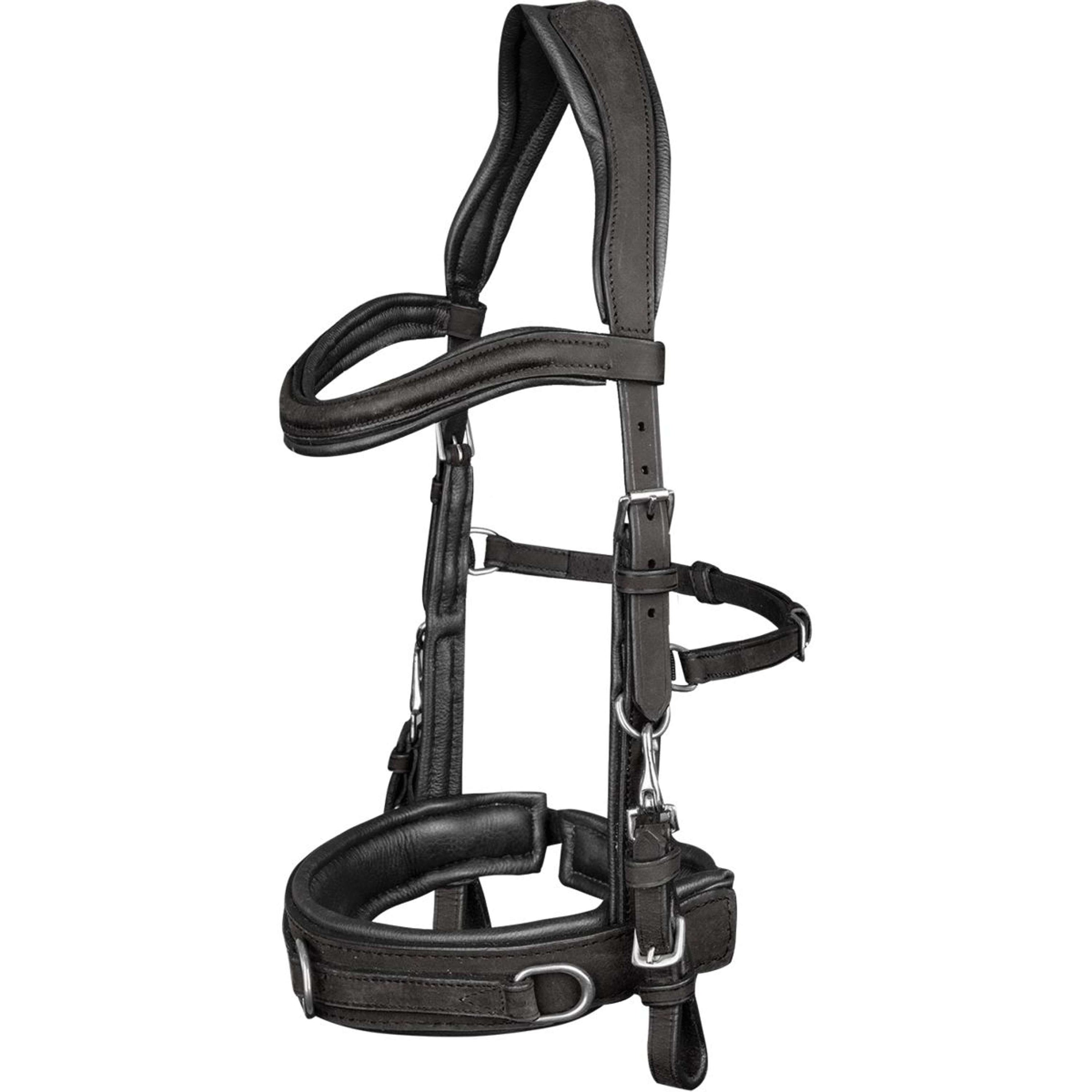 Waldhausen Bridon Caveçon Anatomique Noir Waldhausen Bridon Caveçon Anatomique Noir