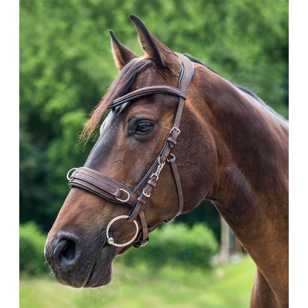 Waldhausen Bridon Caveçon Anatomique Marron