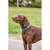 Weatherbeeta Collier pour Chien Elegance Bleu