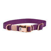 Weatherbeeta Collier pour Chien Elegance Violet