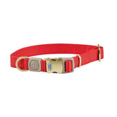 WeatherBeeta Collier pour Chien Elegance Rouge