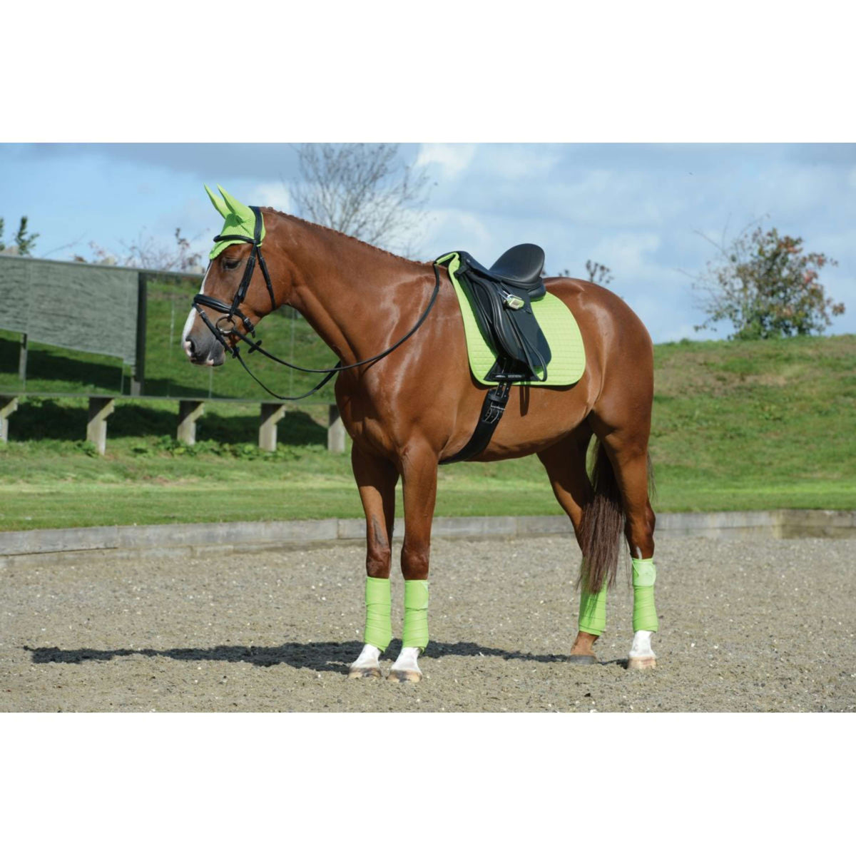 Weatherbeeta Bandages Fleece 4 Pièces Lime Green