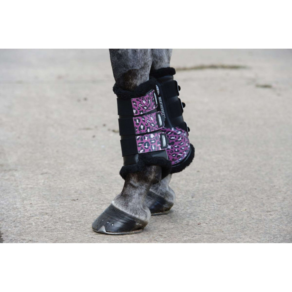 Weatherbeeta Tendon Boots Leopard Léopard Rose