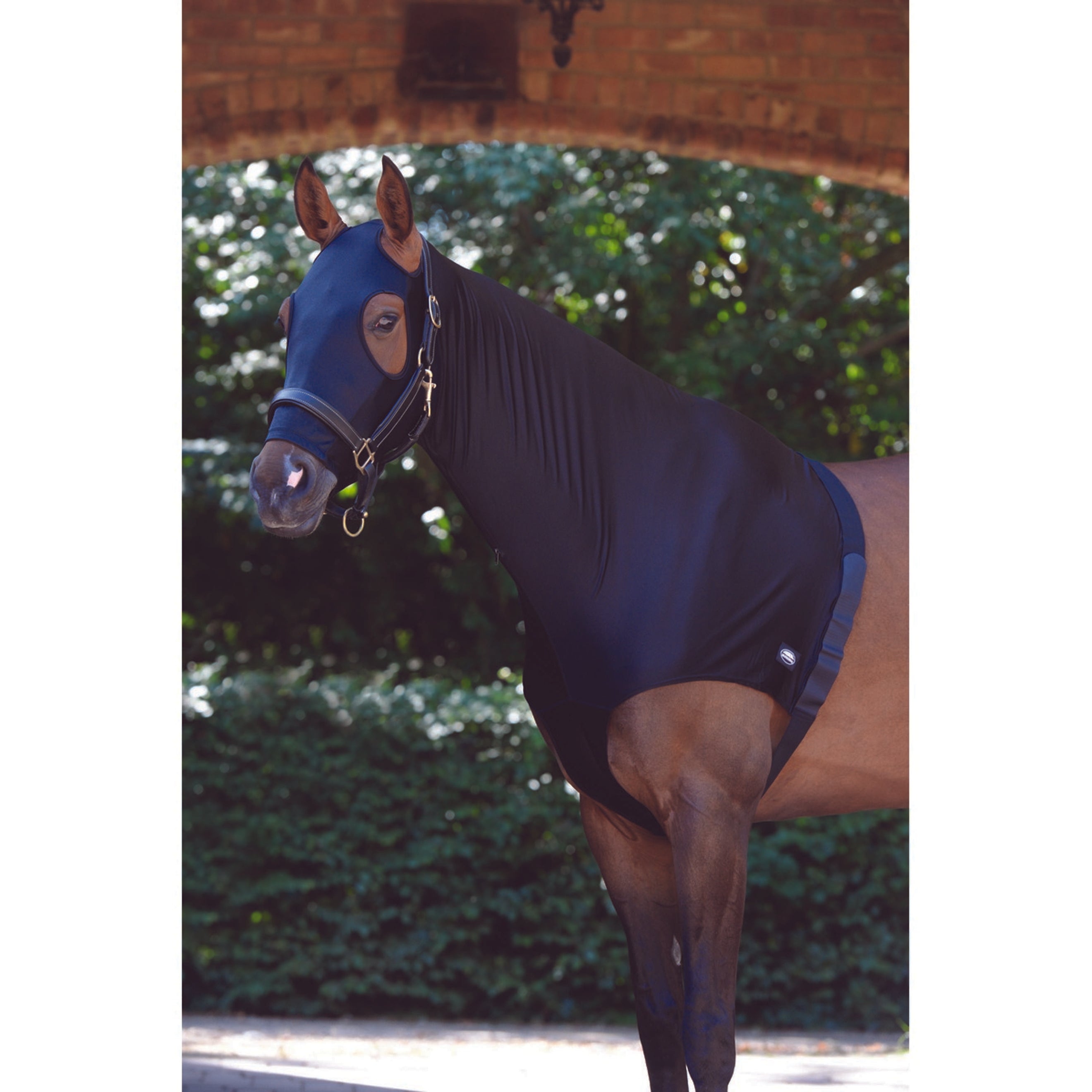 Protection D'Épaule De Cheval - Respirante - Lavable En Machine - Pour La Présentation (L Protection D'Épaule De Cheval - Respirante - Lavable En Machine - Pour La Présentation (L