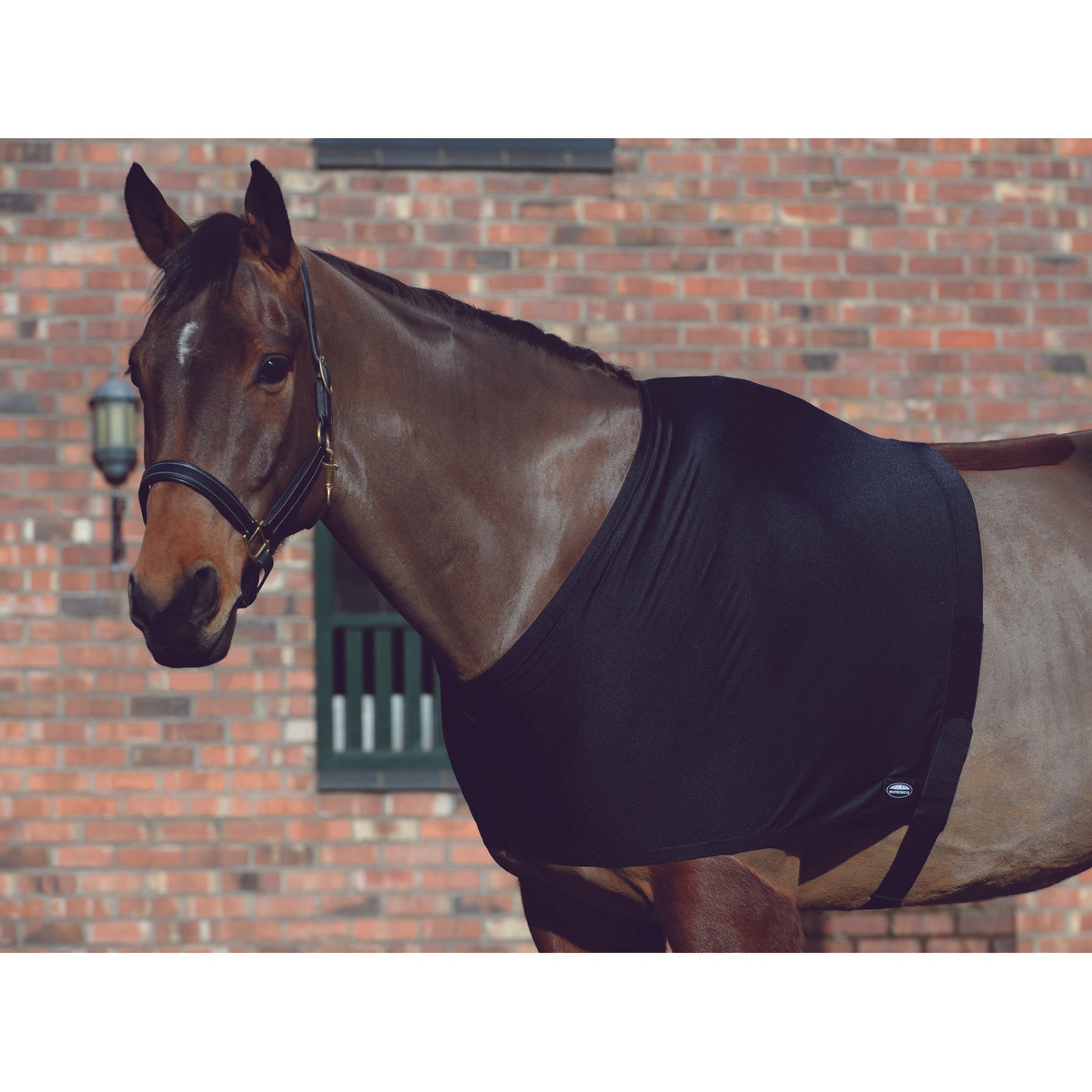 WeatherBeeta Shoulder Guard Stretch Noir