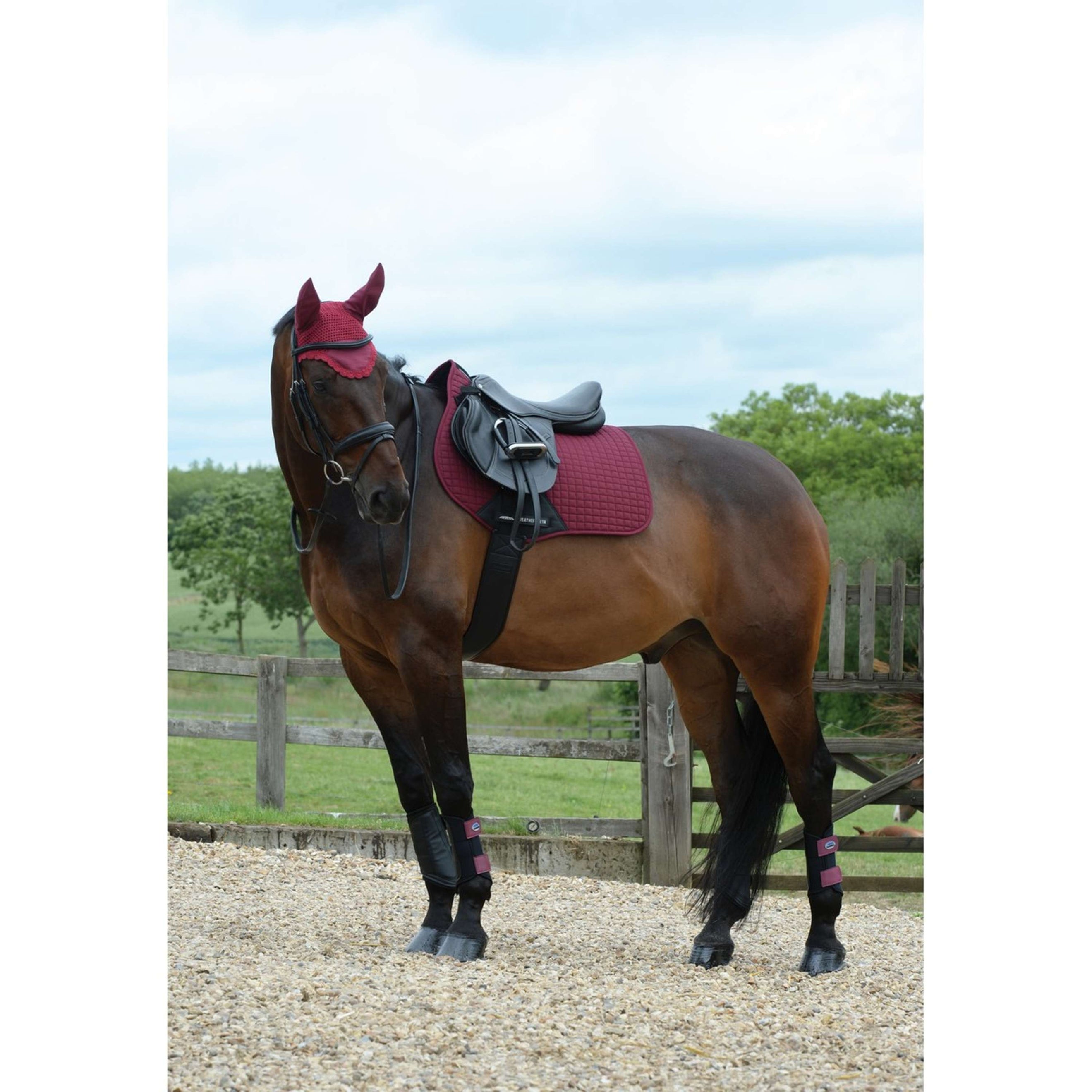 Weatherbeeta Tapis de Selle Prime Polyvalent Maroon Red Weatherbeeta Tapis de Selle Prime Polyvalent Maroon Red