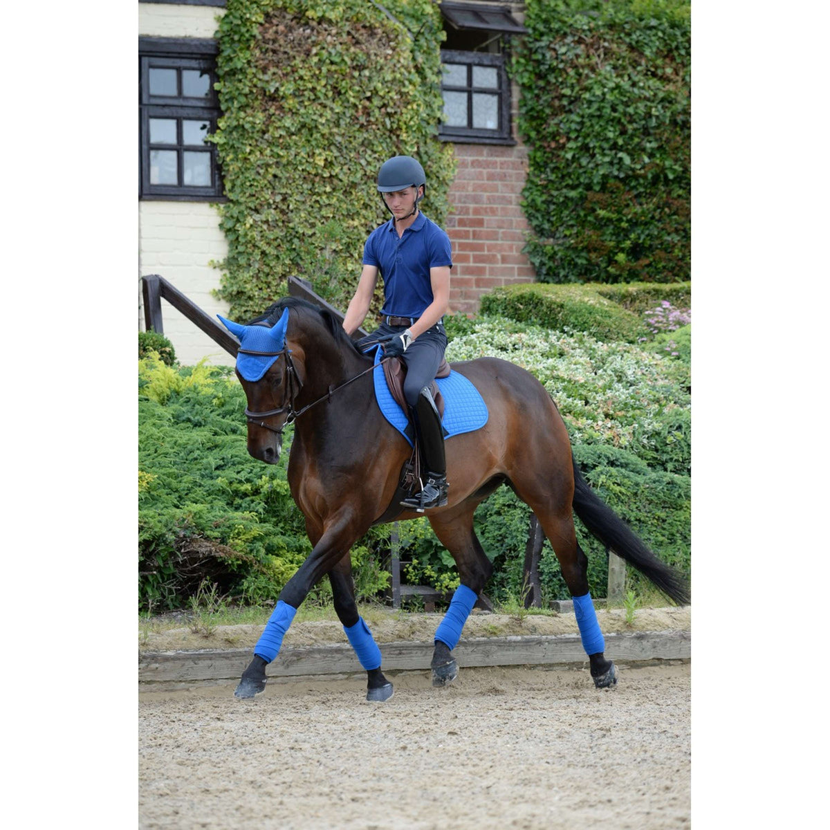 Weatherbeeta Tapis de Selle Prime de Saut Bleu Royal