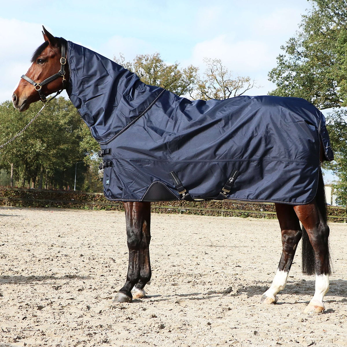 Eskadron Turnout Rug Omega 1680D Fleecelining Marin foncé