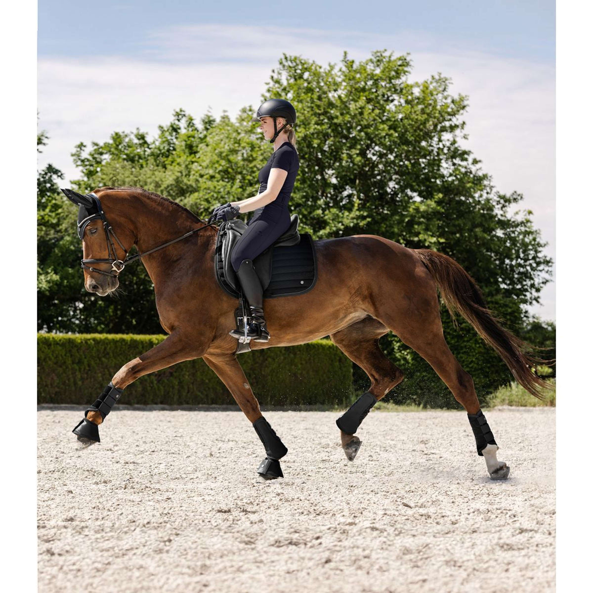 Waldhausen Tapis de Selle Rimini Dressage Noir