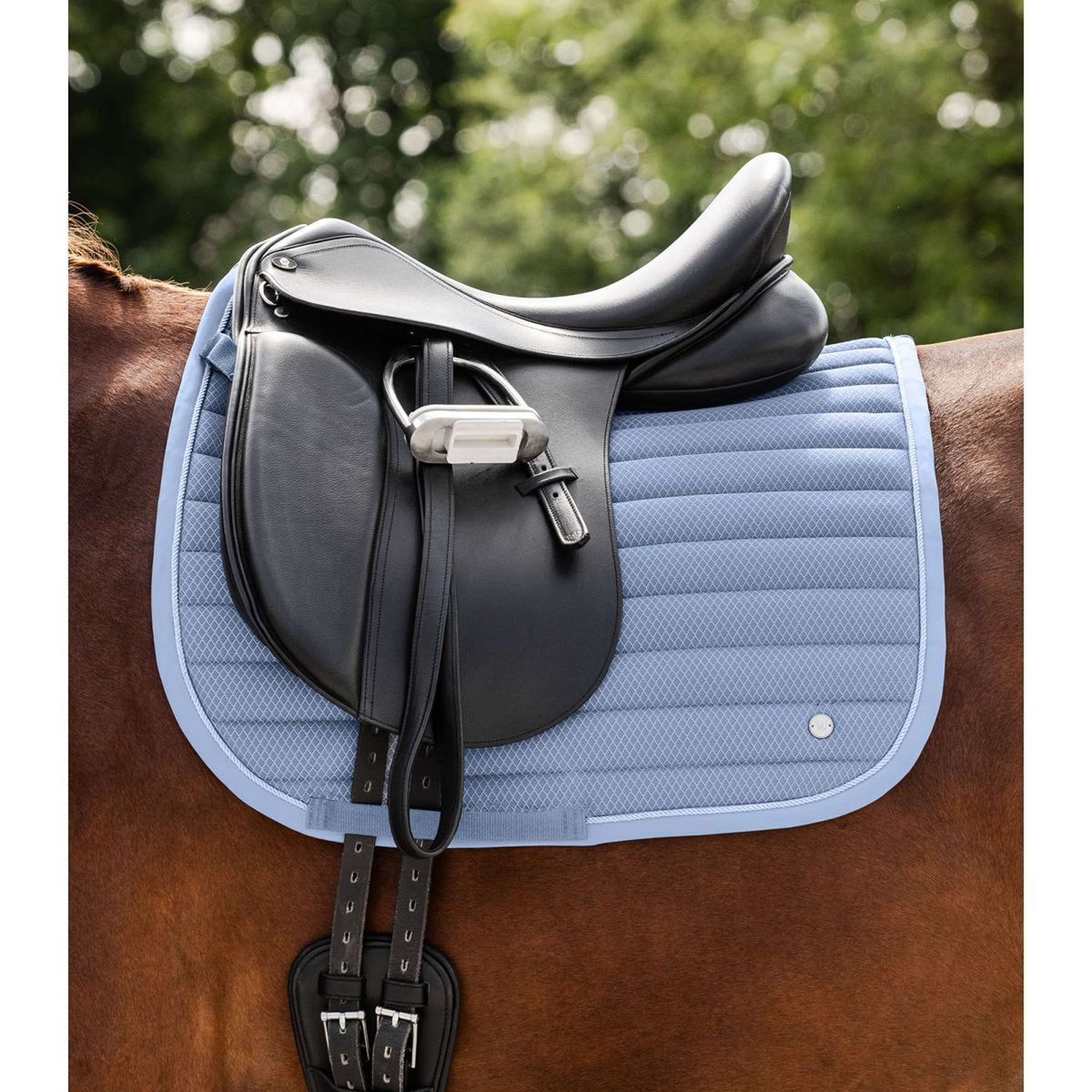 Waldhausen Tapis de Selle Rimini Dressage Pastel Blue