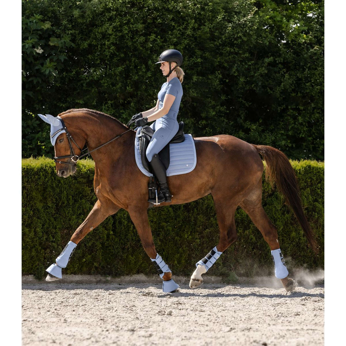 Waldhausen Tapis de Selle Rimini Dressage Pastel Blue